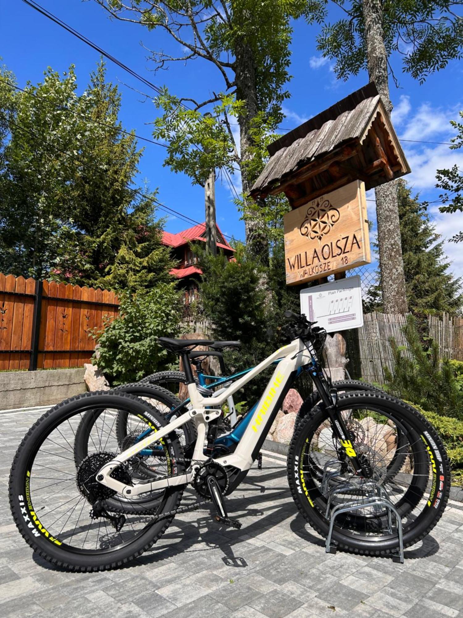 Apartamenty Willa Olsza Wood House & Mountain View & Sauna 扎科帕内 外观 照片