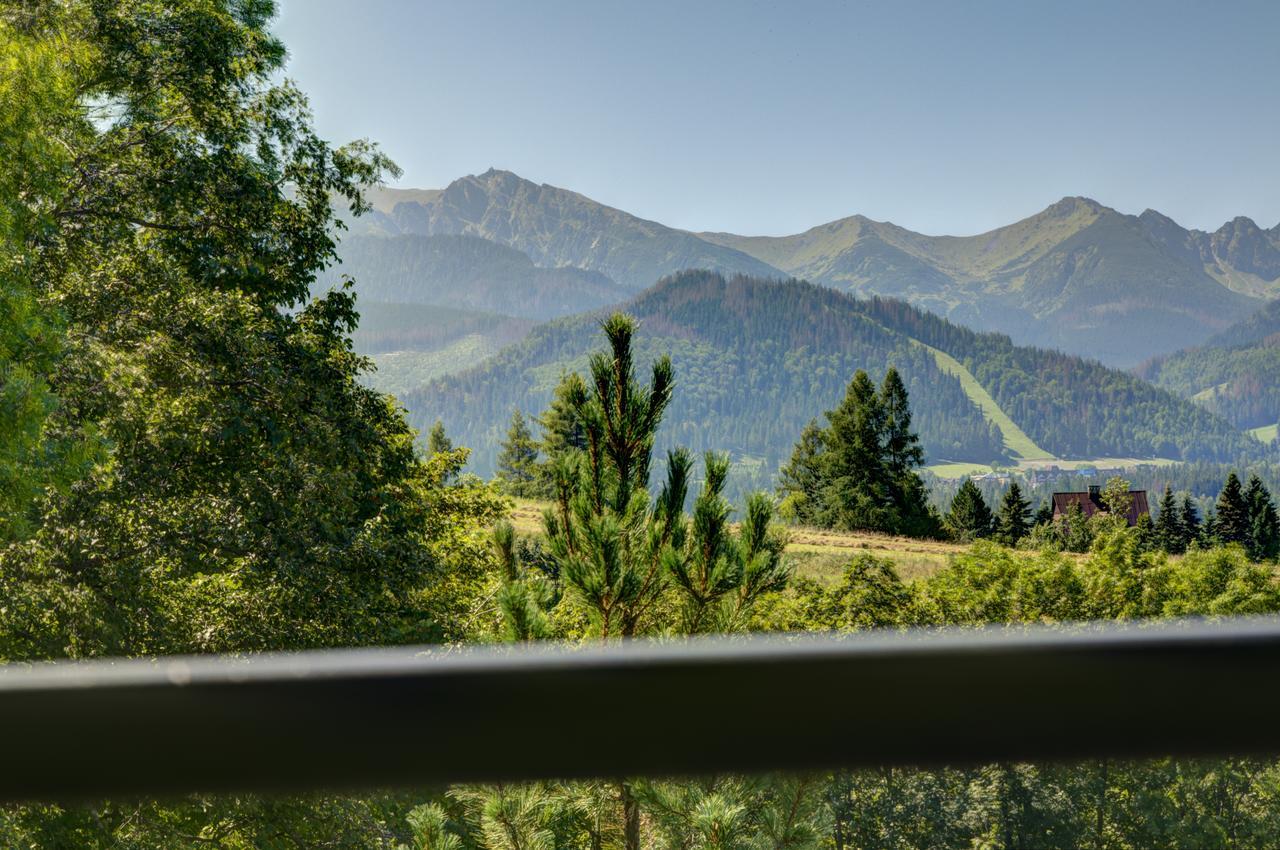 Apartamenty Willa Olsza Wood House & Mountain View & Sauna 扎科帕内 外观 照片