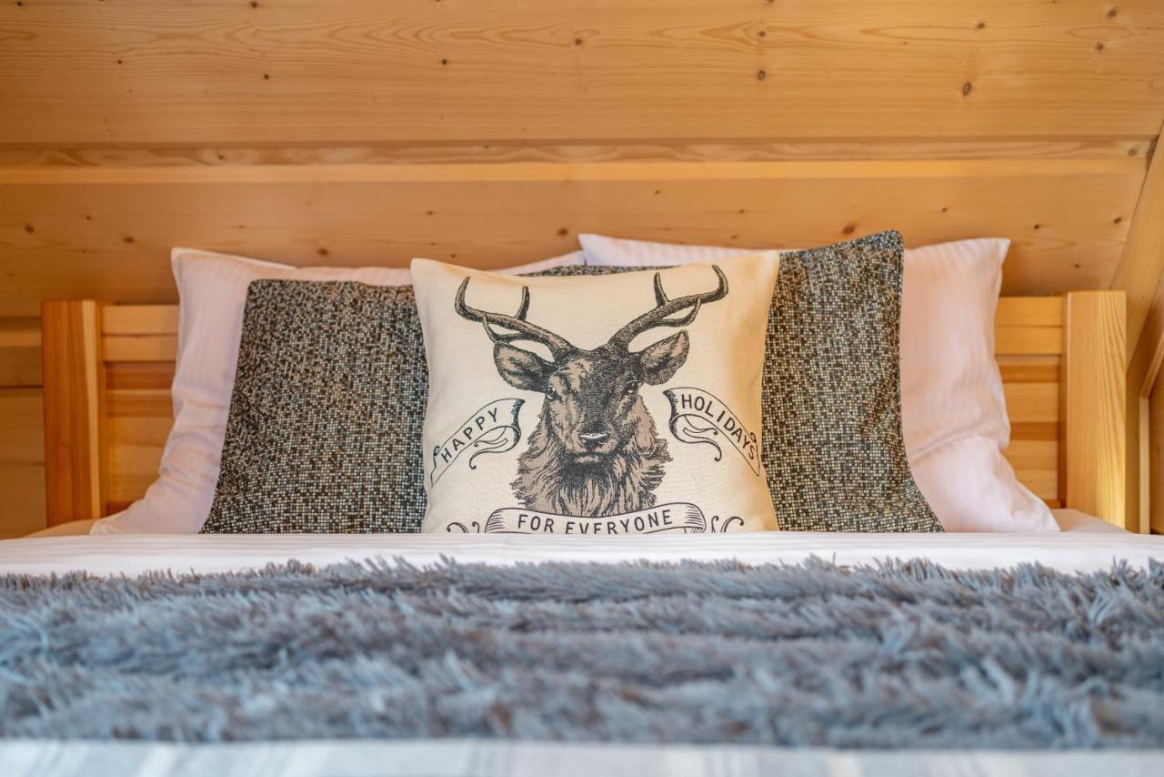 Apartamenty Willa Olsza Wood House & Mountain View & Sauna 扎科帕内 外观 照片