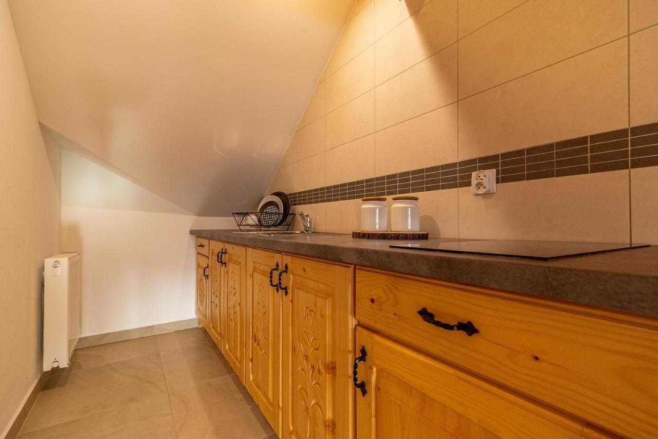 Apartamenty Willa Olsza Wood House & Mountain View & Sauna 扎科帕内 外观 照片